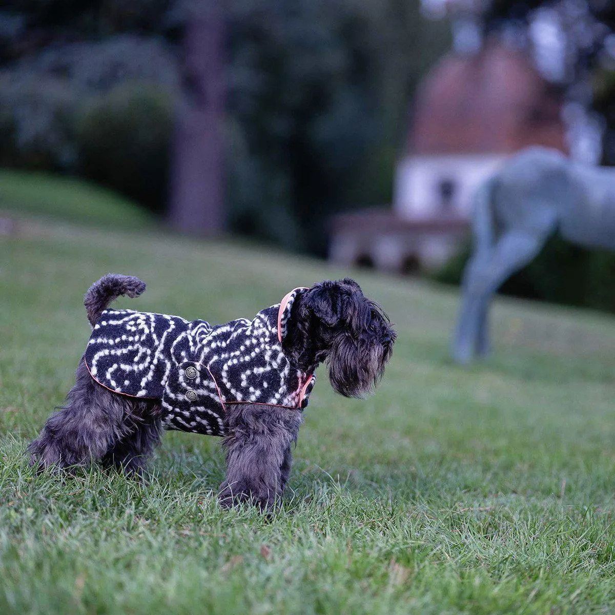 Bespoke Reversible Dog Coat/Raincoat Studio 54