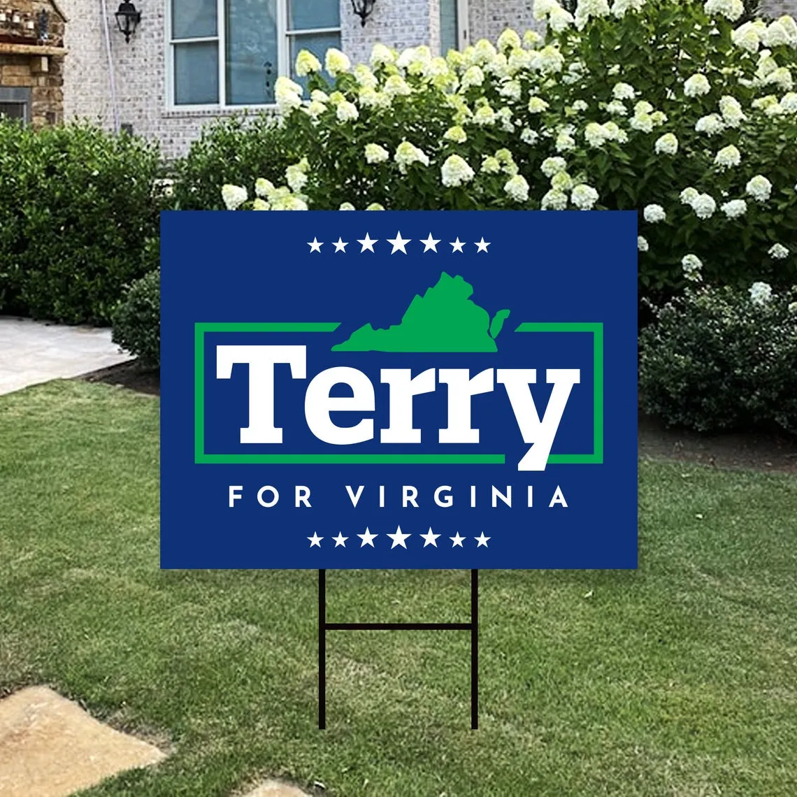 Pack of 3 - Terry McAuliffe For Virginia Governor